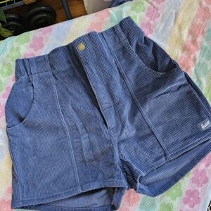 Hammies Retro Blue Corduroy Mens Shorts